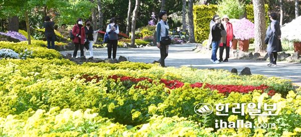 한림공원 국화축제.