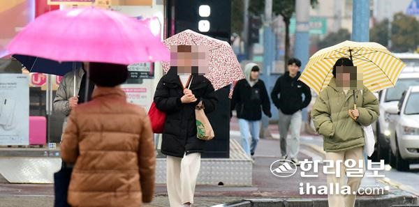 겨울 비 내리는 제주. 한라일보DB