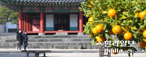 한파가 물러간 뒤 제주목관아. 이상국기자