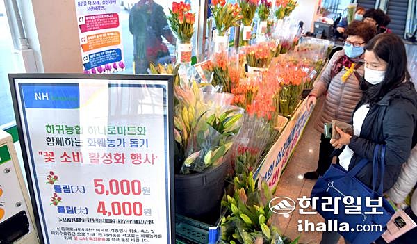 화훼농가 돕기 캠페인. 한라일보DB