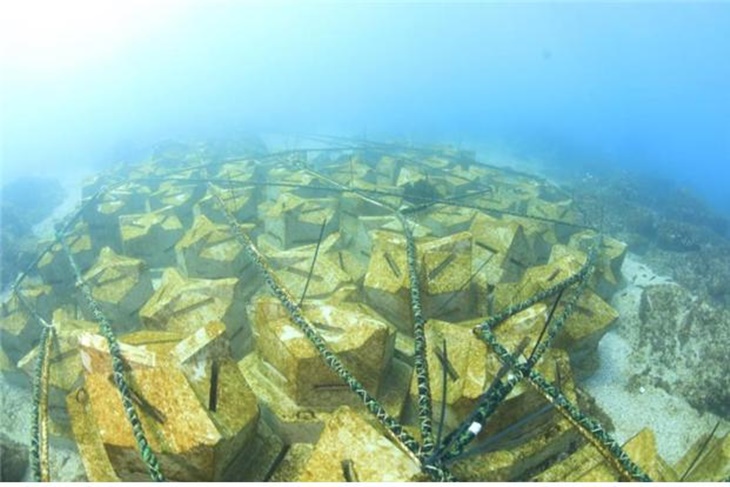 해조장 조성사업지 전경. 제주도 제공