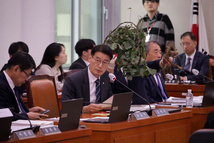 산림청 국정감사에서 질의 중인 문대림 의원. 문대림 의원실 제공.