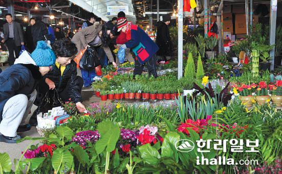 마음의 평온엔 꽃이 최고