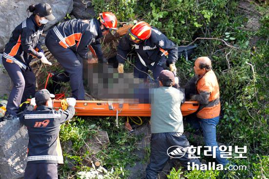 소나무 고사목에 깔린 근로자 구조하는 119대원