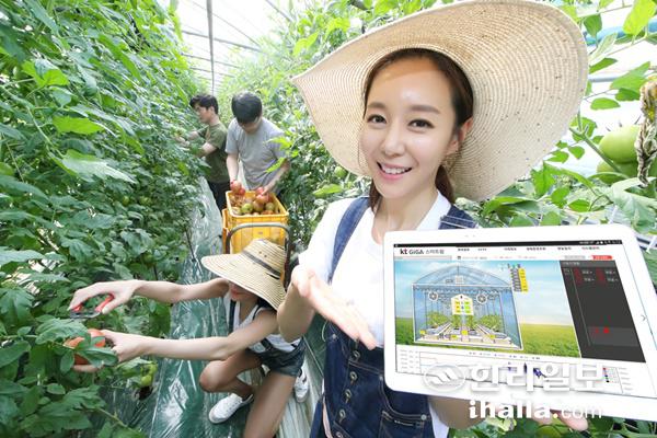 스마트팜 사업.