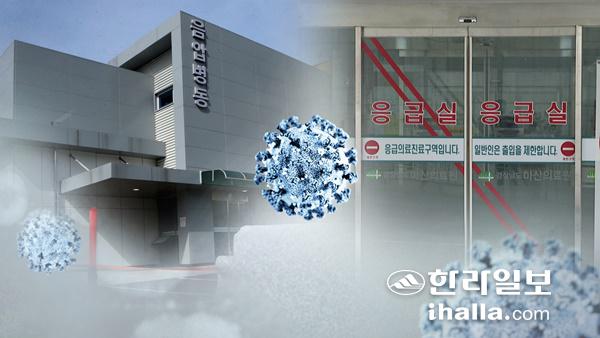 코로나19 검체 채취. 한라일보DB