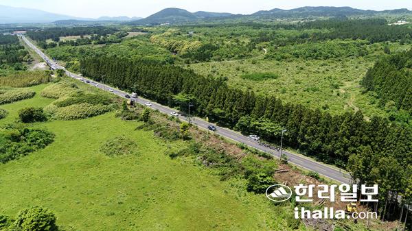 제주 비자림로 확장 공사. 한라일보DB