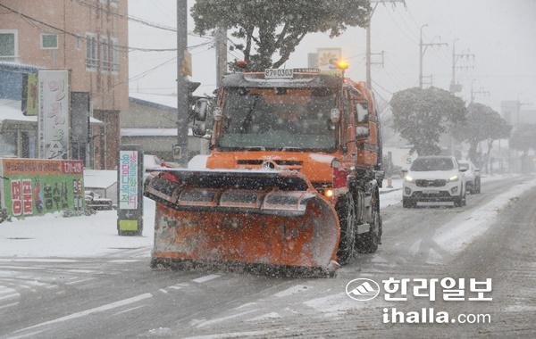 눈 내리는 제주.
