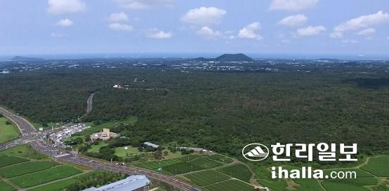 제주 중산간 곶자왈. 한라일보DB
