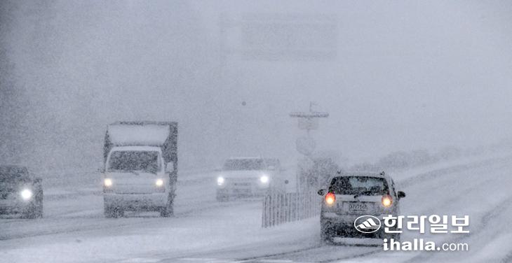 눈 내리는 제주.