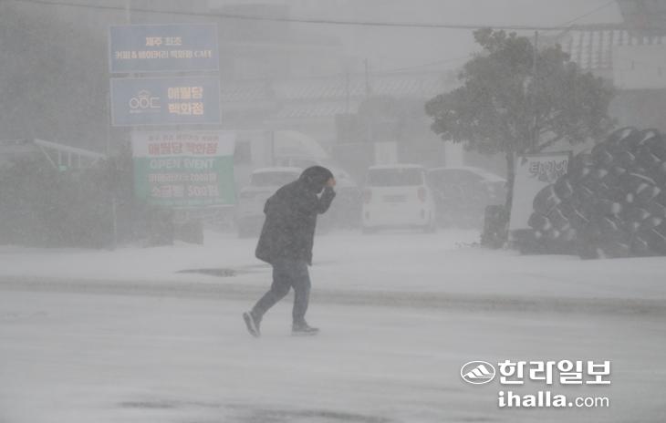 눈 내리는 제주.