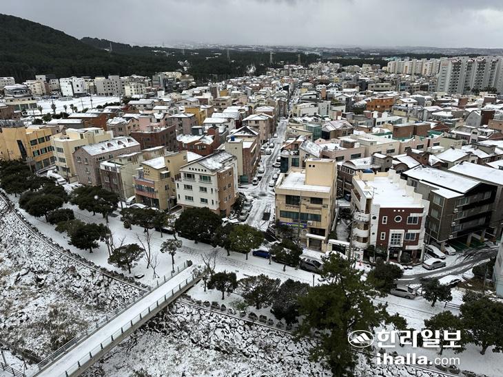 눈 내린 제주.눈 한라일보DB