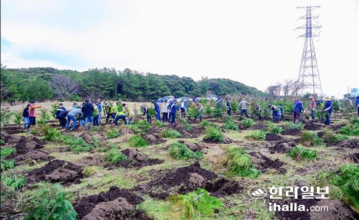 서귀포시의 지난해 나무 심기 행사. 서귀포시 제공