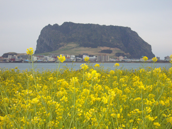 하늘이 내린 풍경