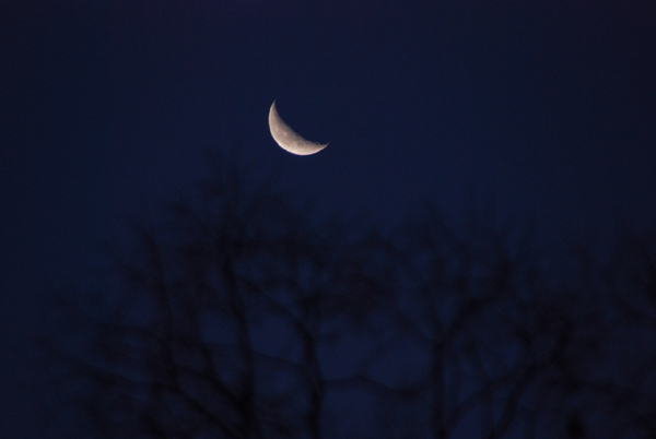  초심을 지키는 제주의 대표신문 한라일보여 ! 저 하늘의 초승달처럼...
