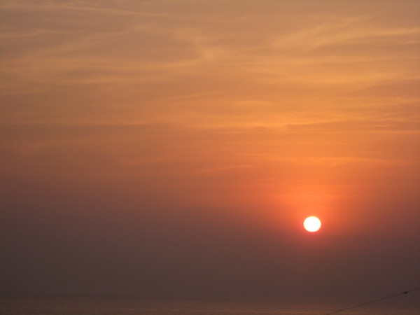 누런 황소의 동공처럼..맑고 선하다.