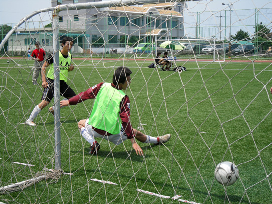 새처럼 날아 벌처럼 슛!