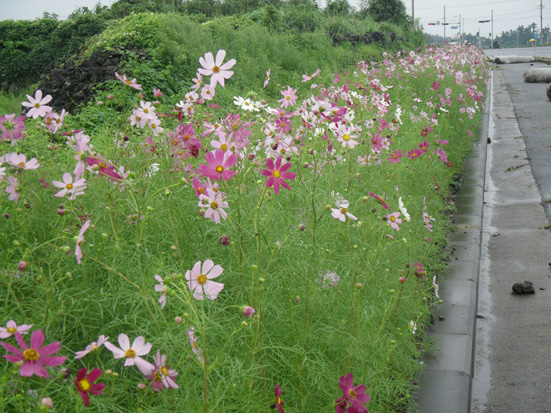 성큼 다가온 가을