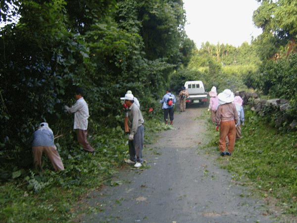상예2동 3반주민들이 마을안길 정비하는 모습(사진/임창홍 시민기자)