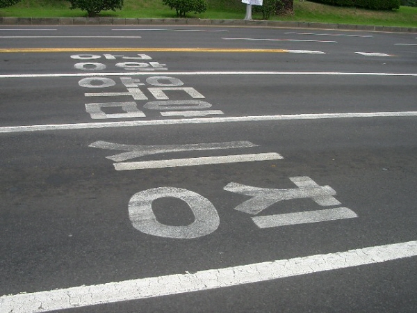 '망신살' 노면표시