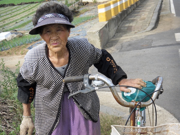 고된 밭일을 하던 중 잠시 일어나 자전거에 기대 허리를 펴는 노모, 풍상을 겪으며 진지하게 살아온 자연합일 표정이 얼굴에 나타난다. 한경면 청수리에서 / 사진 = 김승범 시민기자 