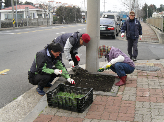 사계절 꽃이 피는 성산읍 