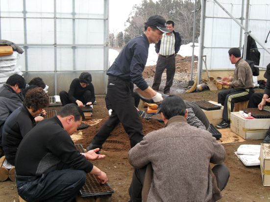 사계절 꽃이 피는 성산읍을 위하여