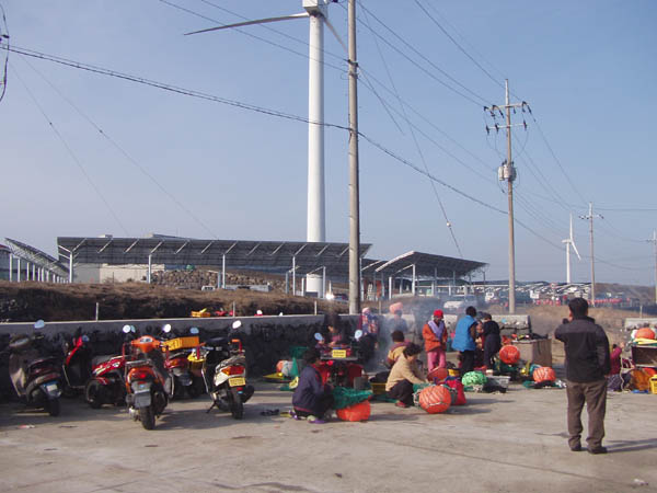 완연한 봄날씨의 행원리 풍경!