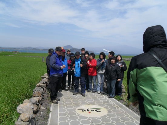가파도 청보리 축제