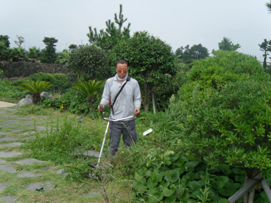 조개잡이 체험 어장 쉼터 풀베기
