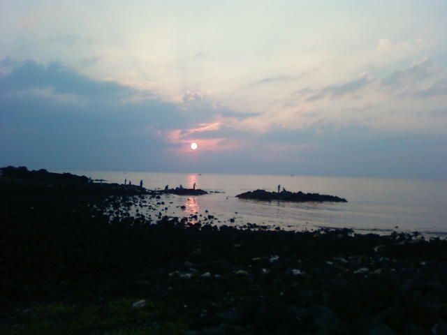 *황금빛을 낚는 귀성객들...