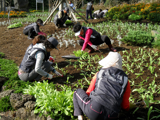 꽃 처럼 항상 화사하게