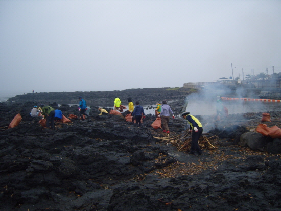지난 30일 논짓물 해안가에서 예래동 주민자치위원회 위원들이 자연정화 활동 모습(사진/임창홍 시민기자)